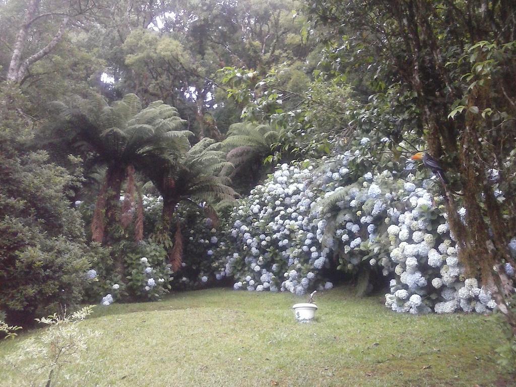 Nanda'S House Pousada Hotel Sao Francisco de Paula  Bagian luar foto